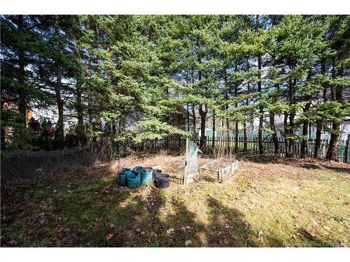 190 Maple St, Moncton, NB 
