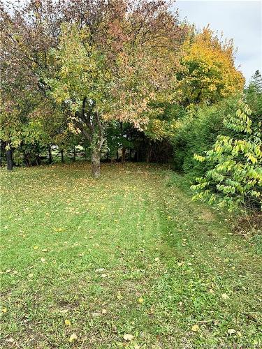 453 Chaleur, Charlo, NB 
