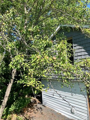 453 Chaleur, Charlo, NB 