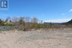 87 Kennedys Lane Extension Holyrood, NL A0A 2R0