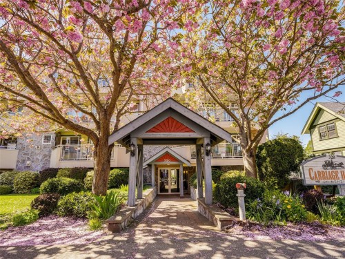 202-320 Menzies St  Victoria, BC V8V 2G9