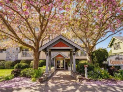 202-320 Menzies St  Victoria, BC V8V 2G9