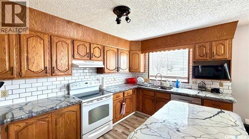 701 1St Street, Hanley, SK - Indoor Photo Showing Kitchen With Double Sink