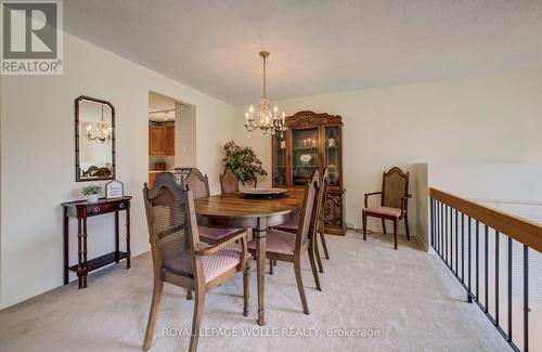 51 Underhill Crescent, Kitchener, ON - Indoor Photo Showing Dining Room