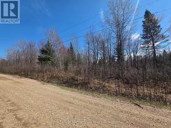LT 14 PART 2 HAZELWOOD ROAD Papineau-Cameron (Papineau Cameron), ON P0H 1V0