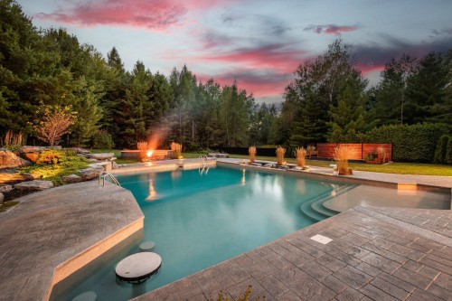 Piscine - 117 Rue Lacoste, Shefford, QC - Outdoor With In Ground Pool