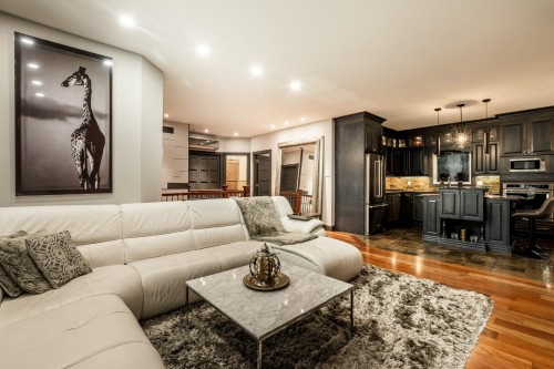Vue d'ensemble - 117 Rue Lacoste, Shefford, QC - Indoor Photo Showing Living Room