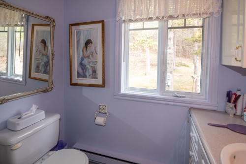 Bathroom - 602 4E Rang O., Saint-Pascal, QC - Indoor Photo Showing Bathroom
