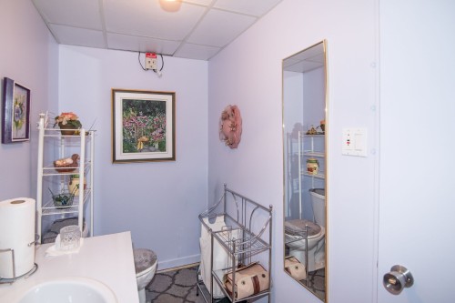 Powder room - 602 4E Rang O., Saint-Pascal, QC - Indoor Photo Showing Bathroom