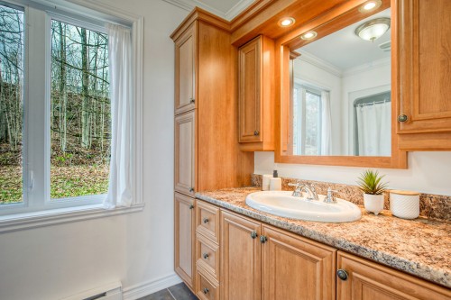 Salle de bains - 120 Ch. Thibault, Sutton, QC - Indoor Photo Showing Bathroom