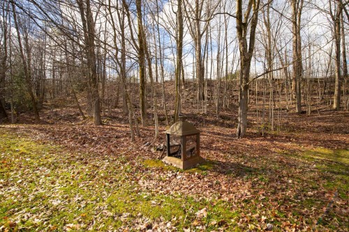 Cour - 120 Ch. Thibault, Sutton, QC - Outdoor With View