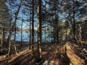 Vue sur l'eau - 247 Ch. Du Lac-À-Larche, Cayamant, QC 