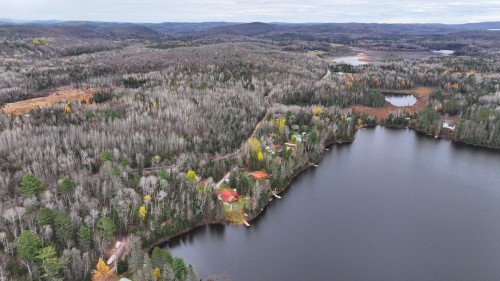 Vue d'ensemble - 247 Ch. Du Lac-À-Larche, Cayamant, QC 
