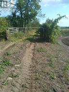 120 DRIVE IN Road Napanee, ON K0K 2Z0