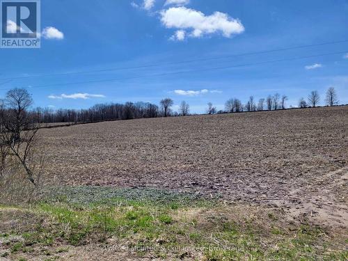 April 2026 - Lt 20 Sideroad 20 Ndr, West Grey, ON 
