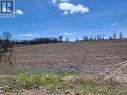 April 2026 - Lt 20 Sideroad 20 Ndr, West Grey, ON 