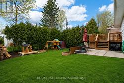 Backyard - 