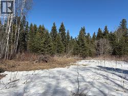 Delaronde Lake 30 Acres Forest Big River Rm No. 555, SK S0J 0E0