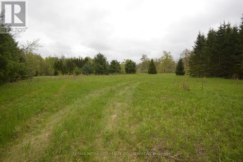 00 River Road, Horton, ON 