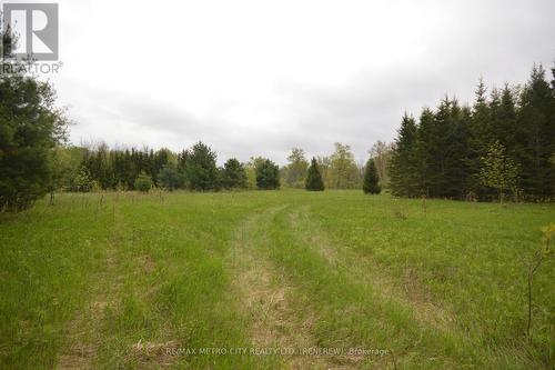00 River Road, Horton, ON 