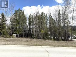 63 DARBY Crescent Elkford, BC V0B 1H0