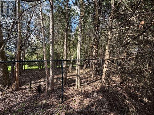 801 Surin Court, Newmarket, ON - Outdoor With View