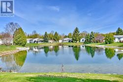 Backyard Views - 