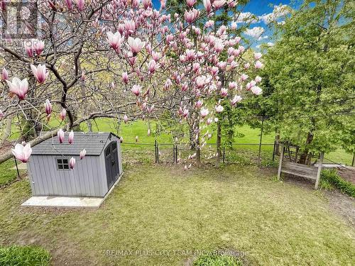 260 Renforth Drive, Toronto, ON - Outdoor