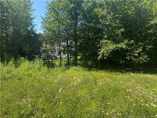 16 Clark Rd, Rothesay, NB 