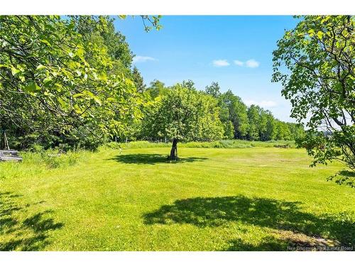 240 Briggs Corner Rd, Briggs Corner, NB 