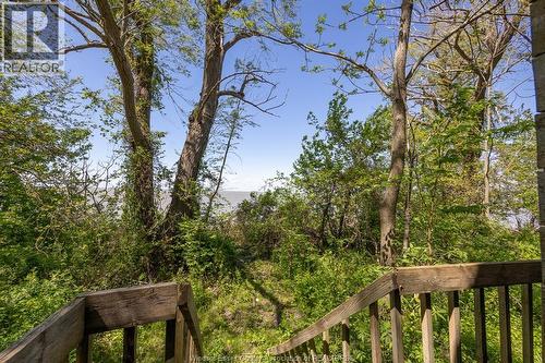 16660 Couture Beach, Lakeshore, ON 