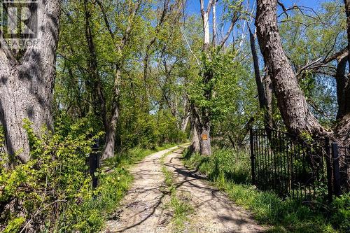 16660 Couture Beach, Lakeshore, ON 