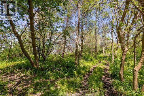 16660 Couture Beach, Lakeshore, ON - Outdoor With View