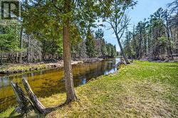 Creekside of Property - 