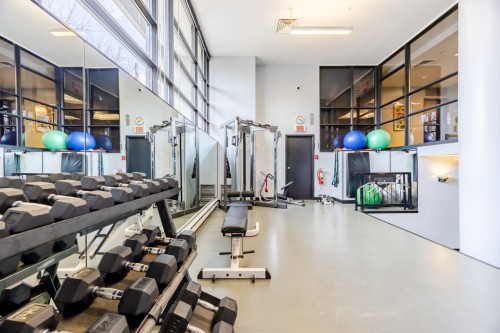 Exercise Room - 906-200 Rue Hall, Montréal (Verdun/Île-Des-Soeurs), QC - Indoor Photo Showing Gym Room