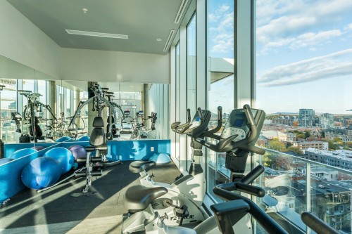 Exercise Room - 1111-1150 Rue St-Denis, Montréal (Ville-Marie), QC - Indoor Photo Showing Gym Room