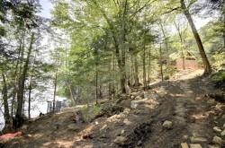 Overall view - 