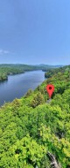 Overall view - 