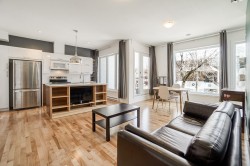 202-25 Rue Bélanger  Montréal (Rosemont/La Petite-Patrie), QC H2S 1C7