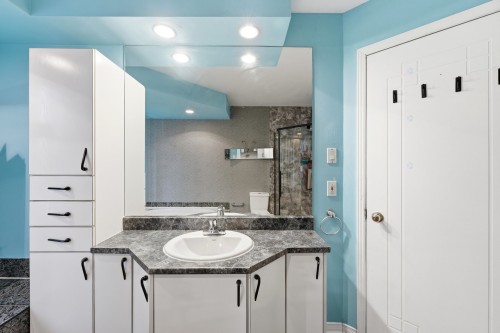 Salle de bains - 960 Rue Basile-Routhier, Repentigny (Repentigny), QC - Indoor Photo Showing Bathroom