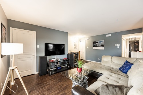 Salon - 244 Rue Du Cardinal, Saint-Amable, QC - Indoor Photo Showing Living Room