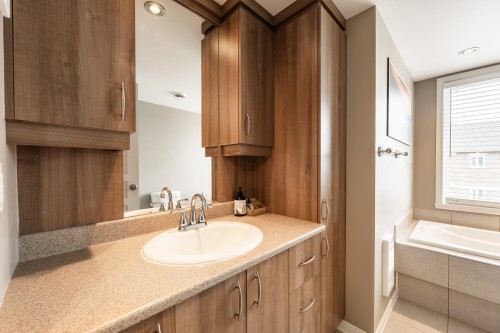 Salle de bains - 244 Rue Du Cardinal, Saint-Amable, QC - Indoor Photo Showing Bathroom