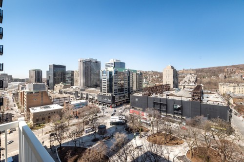 Vue - 1602-2300 Rue Tupper, Montréal (Ville-Marie), QC - Outdoor With View