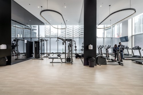 Salle d'exercice - 1602-2300 Rue Tupper, Montréal (Ville-Marie), QC - Indoor Photo Showing Gym Room