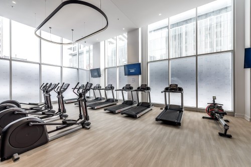 Salle d'exercice - 1602-2300 Rue Tupper, Montréal (Ville-Marie), QC - Indoor Photo Showing Gym Room