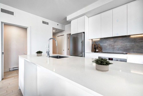Cuisine - 1602-2300 Rue Tupper, Montréal (Ville-Marie), QC - Indoor Photo Showing Kitchen With Upgraded Kitchen