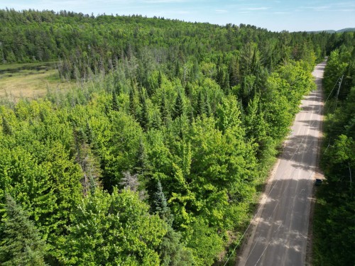Vue d'ensemble - Rue Du Lac-Long S., Saint-Alphonse-Rodriguez, QC 