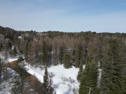 Vue d'ensemble - Rue Du Lac-Long S., Saint-Alphonse-Rodriguez, QC 