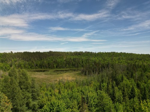 Vue d'ensemble - Rue Du Lac-Long S., Saint-Alphonse-Rodriguez, QC 