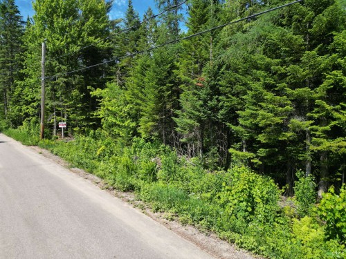 Rue - Rue Du Lac-Long S., Saint-Alphonse-Rodriguez, QC 